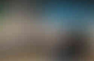 KGW Chabry i Maki z Nowej Wsi reprezentowało Wielkopolskę na targach AGRO & Active Travel