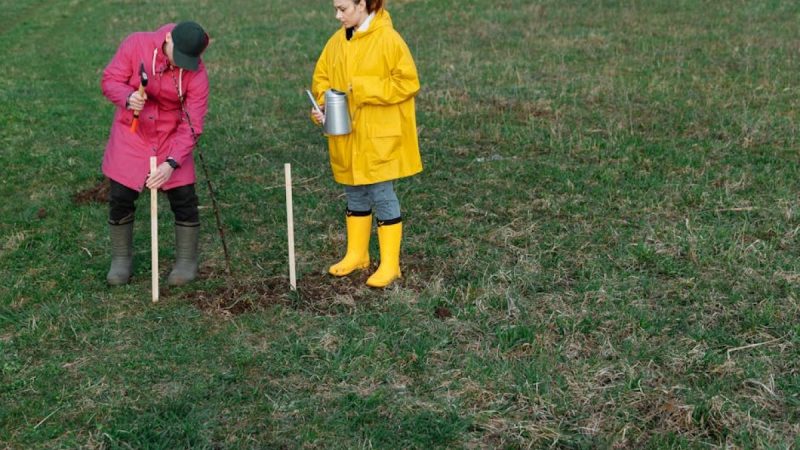 Trzecia edycja akcji sadzenia lasu zakończona sukcesem