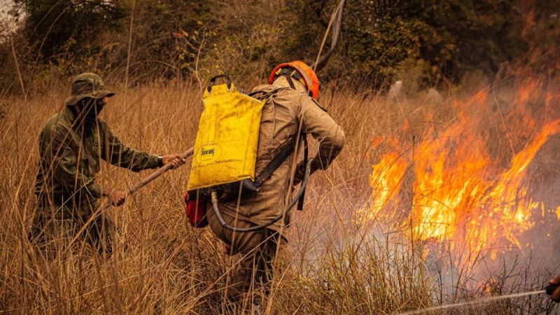 Pożary nieużytków w regionie: strażacy apelują o ostrożność