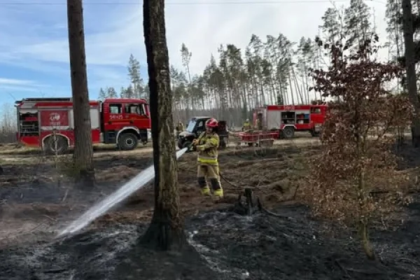 Strażacy ostrzegają: ryzyko pożarów lasów wciąż wysokie