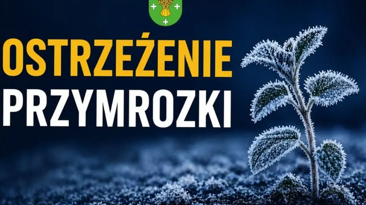 Nadchodzą przymrozki w powiecie słupeckim – IMGW wydał ostrzeżenie