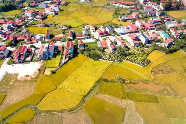Nabór wniosków na przygotowanie koncepcji Smart Village w gminie Powidz