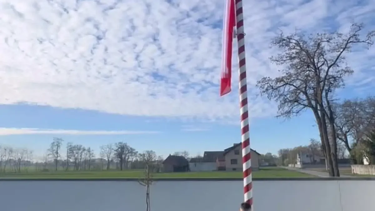 Polska flaga na Facebooku – symbol narodowej dumy w mediach społecznościowych