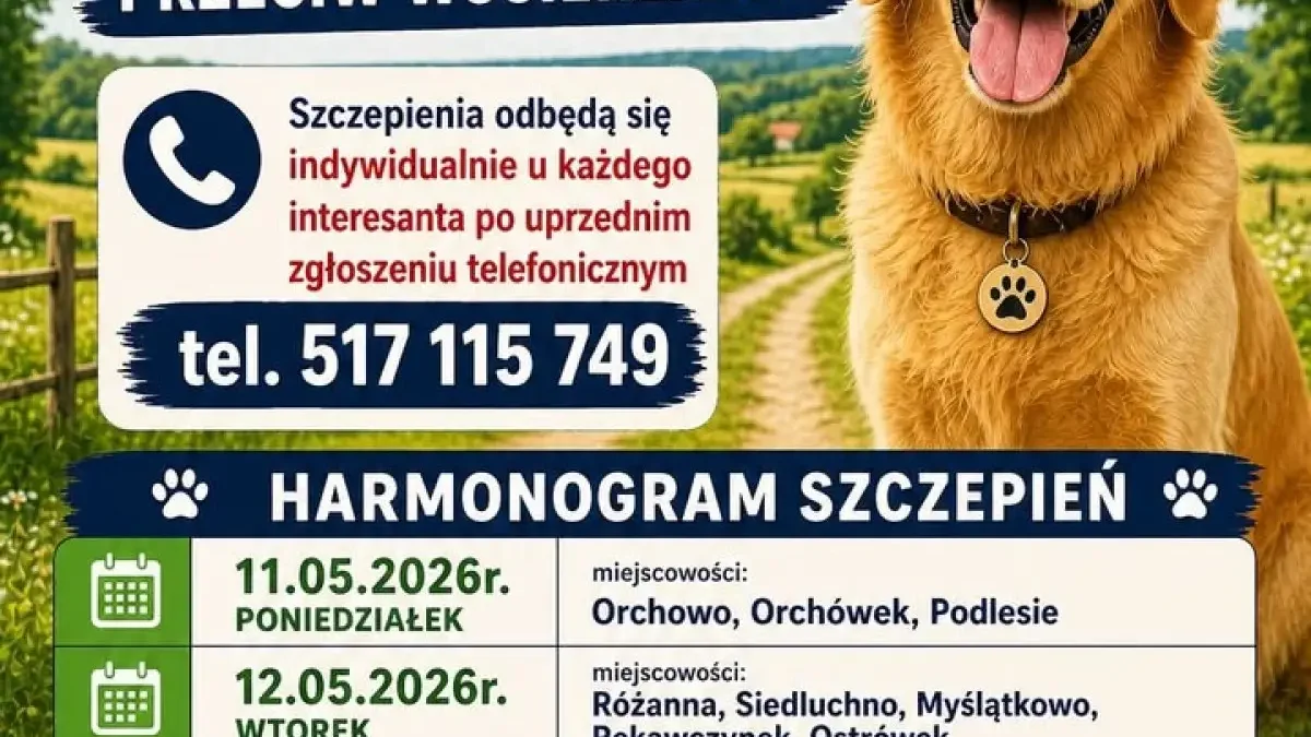 Obowiązkowe szczepienia psów w Gminie Orchowo – ważne informacje dla właścicieli