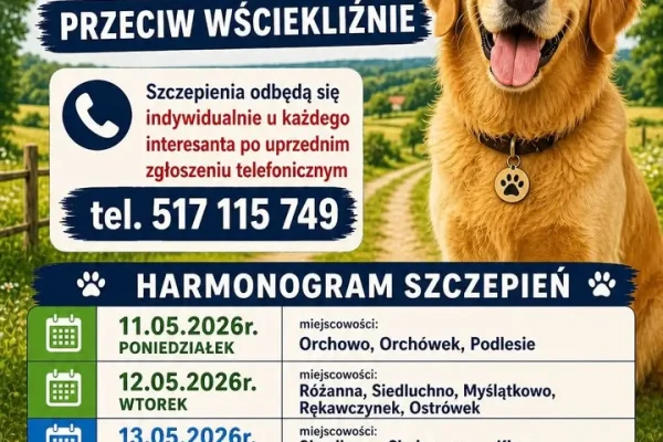 Obowiązkowe szczepienia psów w Gminie Orchowo – ważne informacje dla właścicieli
