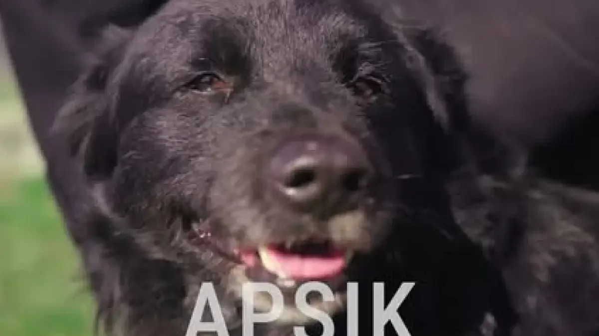 Gmina Słupca promuje się w nowym filmie na YouTube