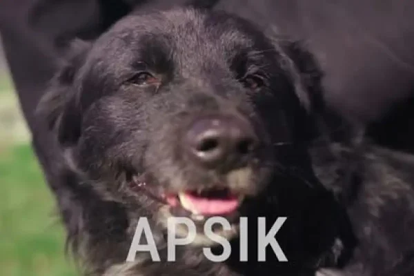Gmina Słupca promuje się w nowym filmie na YouTube
