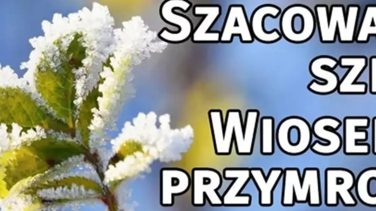 Rolnicy z Zagórowa mogą ubiegać się o odszkodowania za straty spowodowane przymrozkami