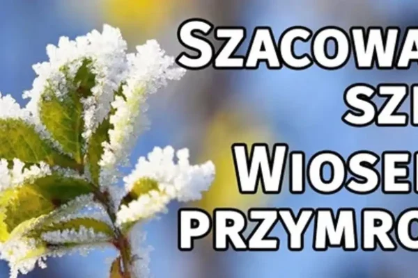 Rolnicy z Zagórowa mogą ubiegać się o odszkodowania za straty spowodowane przymrozkami
