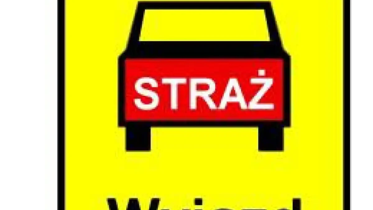 OSP Orchowo interweniowała w Różannie. Zgłoszenie o pochylonym drzewie okazało się fałszywe