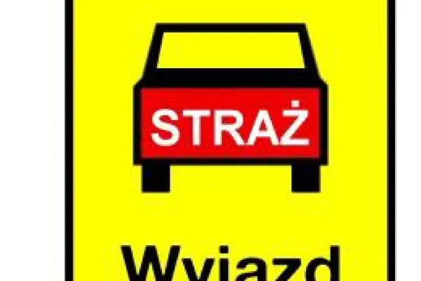 OSP Orchowo interweniowała w Różannie. Zgłoszenie o pochylonym drzewie okazało się fałszywe